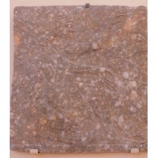 Genie kneeling in front of a tree of life, Assurnasirpal II